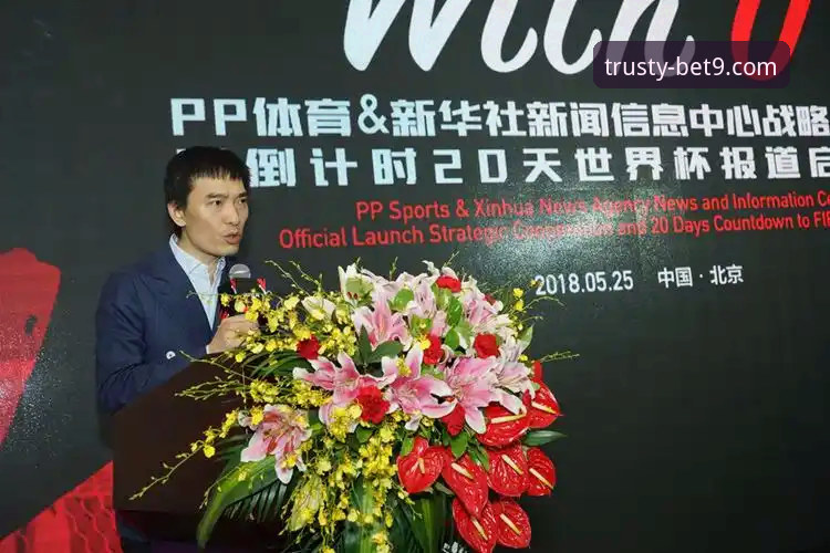 BET9十年信誉体育手机版使用详解：安全访问与极致体验指南